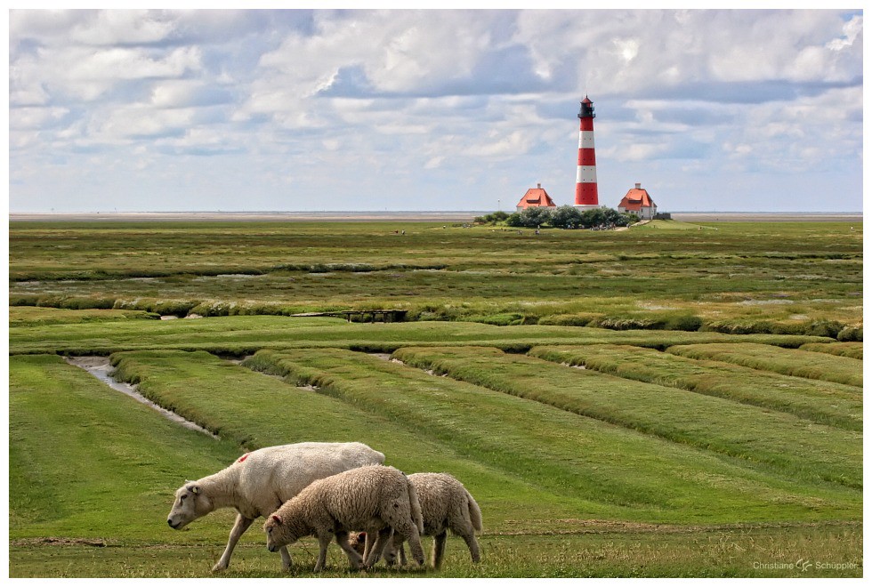 Passing by | Leuchtturm Westerhever
