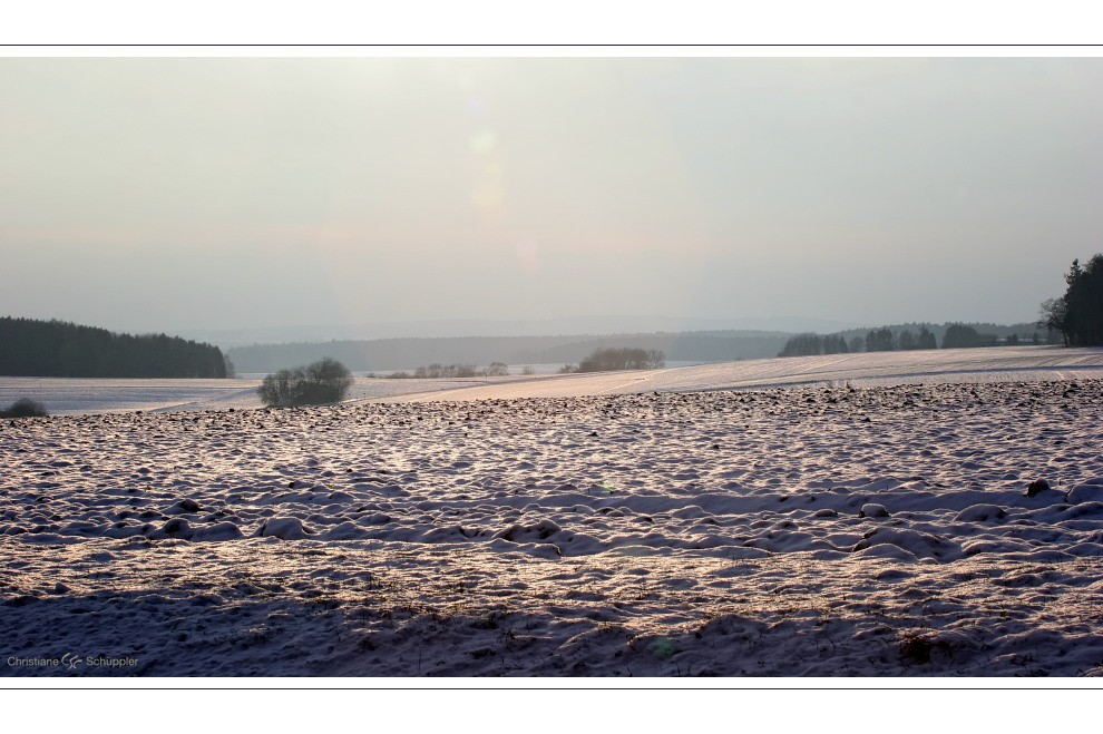 Winterlicht