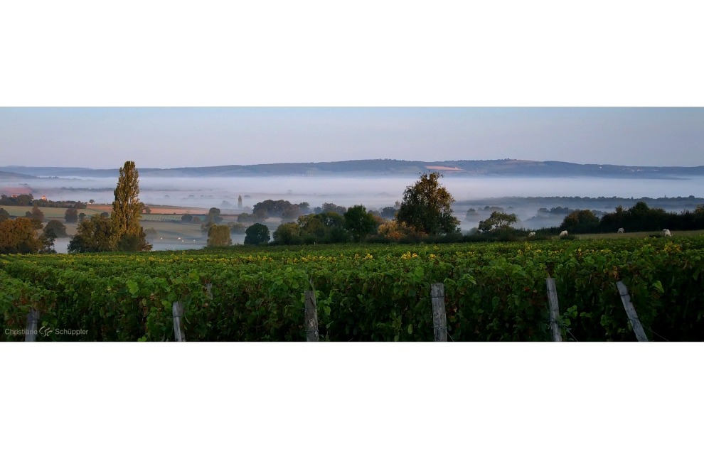 Morgennebel im Tal bei Taizé