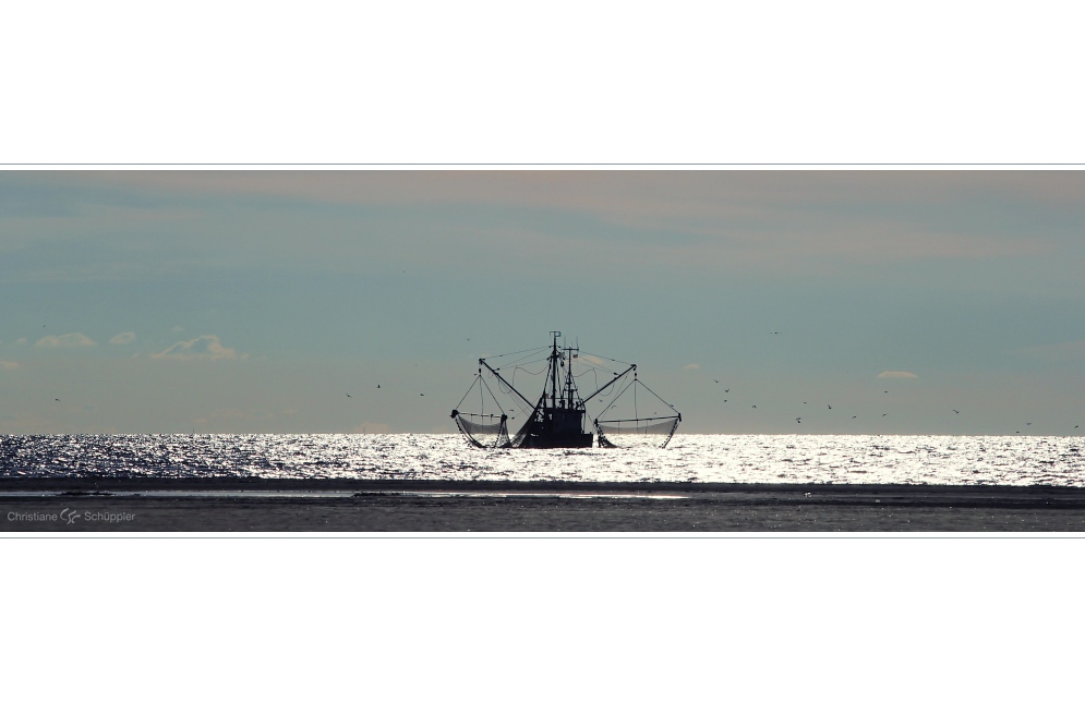 Tage wie diese I | St. Peter-Ording, Nordsee