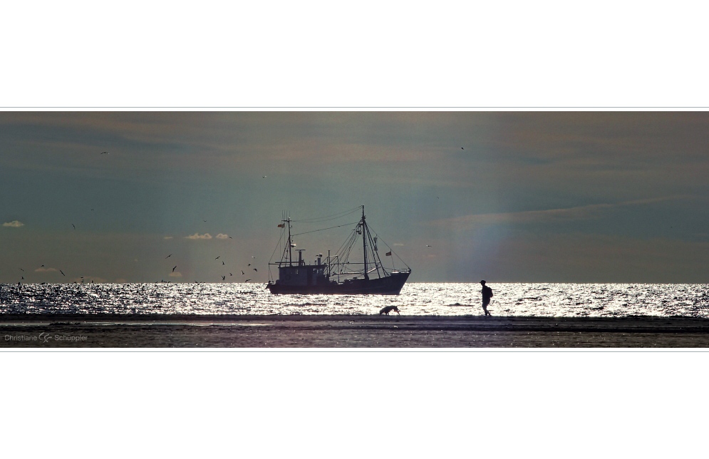 Tage wie diese II | St. Peter-Ording, Nordsee