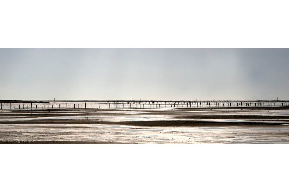 The coast | St. Peter-Ording, Nordsee