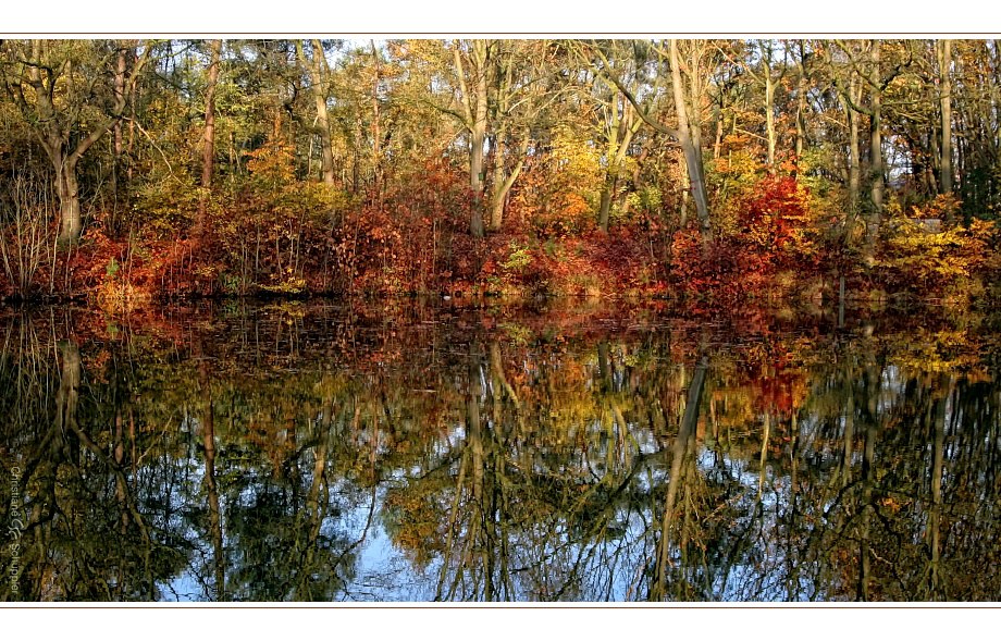 Herbstlicher See am Morgen