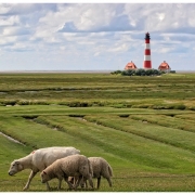 Passing by | Leuchtturm Westerhever