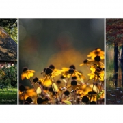 Herbst im Arboretum