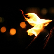 Feuer | Fackelzug